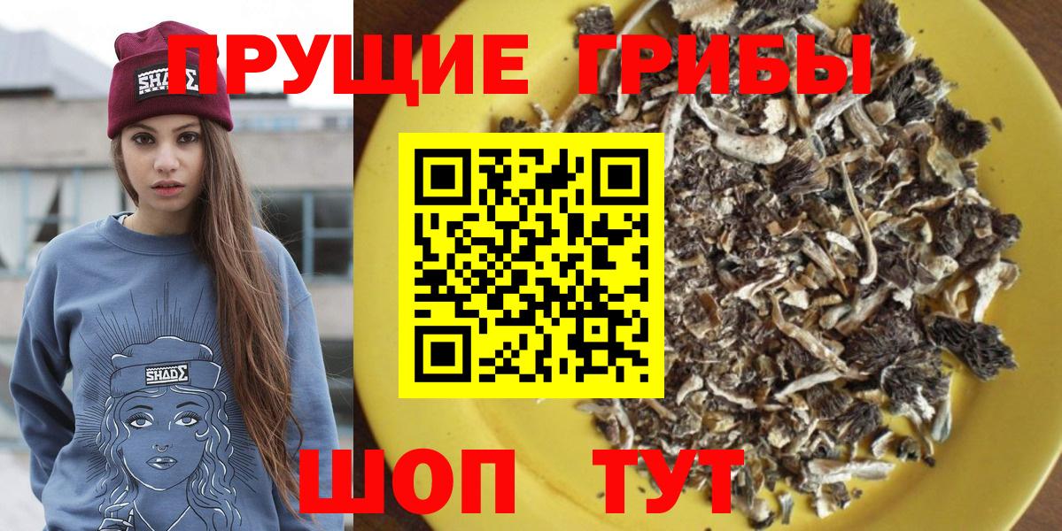 Галлюциногенные грибы мицелий  где продают наркотики  Ревда  Вход с VPN  Псилоцибиновые грибы Psilocybe 